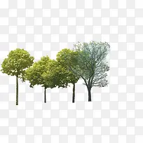 ������Ӱ��ɫ����-������