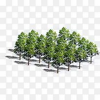 绿色创意高清大树摄影-空若网 绿色创意高清大树摄影-空若网