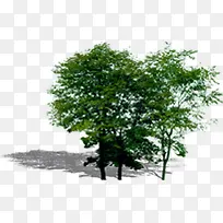 ���崴����Ӱ��ɫ�Ĵ����ϳ�-������