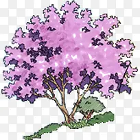 紫色唯美植物大树-空若网 紫色唯美植物大树-空若网