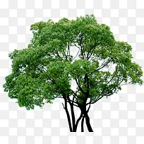 ������Ӱ��ɫ����������Ⱦ-������