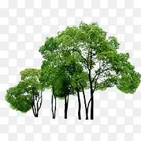 高清创意摄影大树-空若网 高清创意摄影大树-空若网