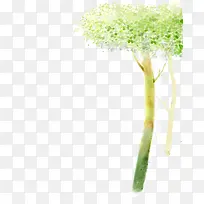 手绘绿色夏季大树-空若网 手绘绿色夏季大树-空若网