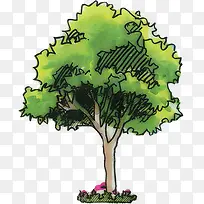 高清效果漫画大树-空若网 高清效果漫画大树-空若网