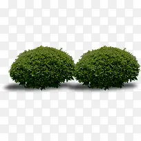 圆形园林创意大树-空若网 圆形园林创意大树-空若网