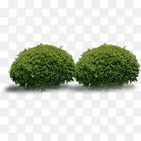 圆形别致裁剪大树-空若网 圆形别致裁剪大树-空若网