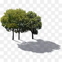 ������Ӱ��ɫ�Ĵ���-������