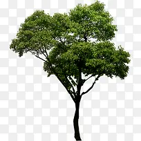 ���崴������ϳ�-������