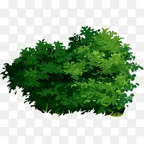 ��ɫɭ�ִ������-������