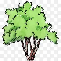 ÂÌÉ«¿É°®ÊÖ»æ´óÊ÷-¿ÕÈôÍø ÂÌÉ«¿É°®ÊÖ»æ´óÊ÷-¿ÕÈôÍø