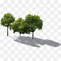 ����ϳ�Ч������-������