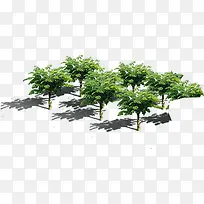 ��԰������������-������