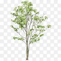 ������-������