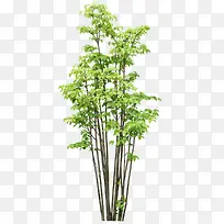 ����-������