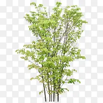 ����-������