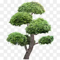 ����-������