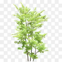 ����-������