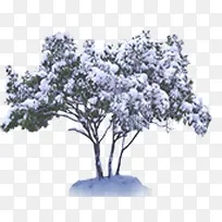 冬季大树树枝雪景-空若网 冬季大树树枝雪景-空若网