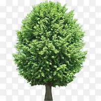 ������ӰЧ����ɫ����-������