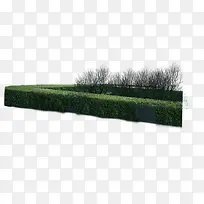 高清摄影公园里面摄影大树-空若网 高清摄影公园里面摄影大树-空若网