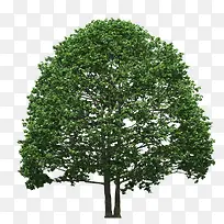 ����-������