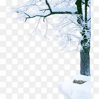 ������Ӱ������Ӱ����-������