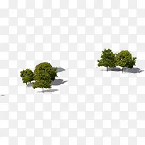园林美景设计大树-空若网 园林美景设计大树-空若网