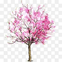 ÊÖ»æ·Ûɫī¼£´óÊ÷-¿ÕÈôÍø ÊÖ»æ·Ûɫī¼£´óÊ÷-¿ÕÈôÍø