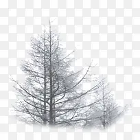 高清摄影雾霾环境大树-空若网 高清摄影雾霾环境大树-空若网