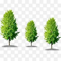绿色清新春日大树-空若网 绿色清新春日大树-空若网