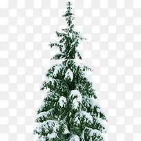 ѩ�����մ������-������