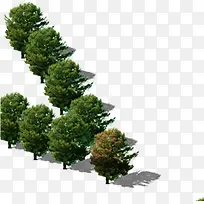 公园园林绿化大树-空若网 公园园林绿化大树-空若网