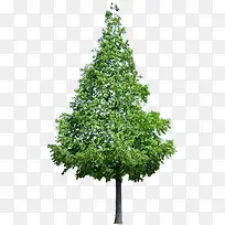 环保大树图片三角形-空若网 环保大树图片三角形-空若网
