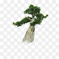 ��ɫ�������ʴ���-������