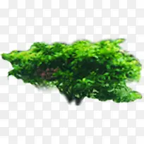 ��ɽ��԰��������-������