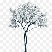 高清摄影合成效果大树树苗-空若网 高清摄影合成效果大树树苗-空若网