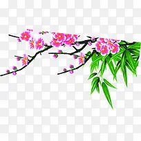 �ɰ�Ψ����������-������