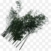 倾斜设计竹林大树-空若网 倾斜设计竹林大树-空若网