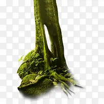 高清摄影绿色的大树底部-空若网 高清摄影绿色的大树底部-空若网