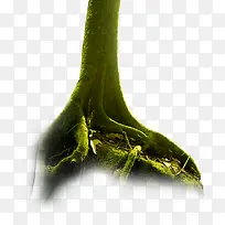 高清创意绿色的大树合成摄影-空若网 高清创意绿色的大树合成摄影-空若网