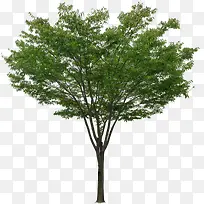 ��ɫ�������������Ӱ-������