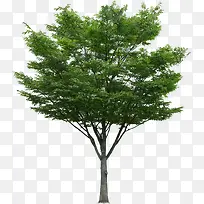 ��ɫ��������ϳ�Ч����Ӱ-������