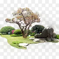 ԰�����ֲ�����-������