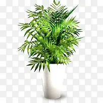 绿色植物草地设计-空若网 绿色植物草地设计-空若网