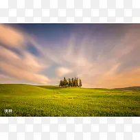 ��ɫ���²ݵ���Ӱ-������