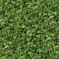 草地摄影-空若网 草地摄影-空若网