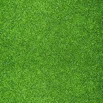 ��ɫ��ƺ����-������