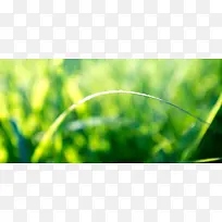 ÂÌÉ«²ÝµØ±³¾°-¿ÕÈôÍø ÂÌÉ«²ÝµØ±³¾°-¿ÕÈôÍø