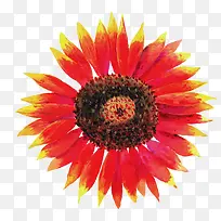 �ֻ滨��-������