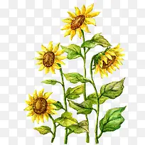 �ֻ����տ�-������